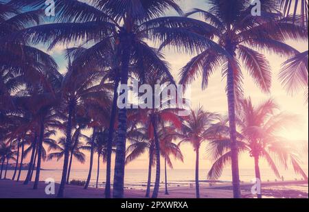 Tropischer Strand mit Kokospalmen bei Sonnenuntergang, farbiges Bild. Stockfoto