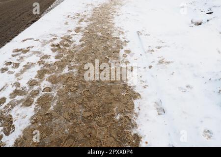 Viele Fußabdrücke von Schuhen und Stiefeln auf dem verschneiten Bürgersteig. Winter in der Stadt. Nasses Wetter und Temperaturen unter dem Gefrierpunkt. Wettervorhersage. Eis, weißer Schnee Stockfoto