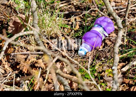 Nahaufnahme einer einzelnen Plastikflasche mit Erfrischungsgetränken, die gedankenlos unter dem Laubstall unter einem Baum entsorgt wurde. Stockfoto