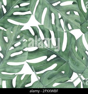 Wasserfarbenes, nahtloses Muster mit tropischen Monstera-Blättern. Dschungeldesign-Illustration für Stoffe, Cover, Drucke. Saftige grüne Blätter, handgezeichnet Stockfoto