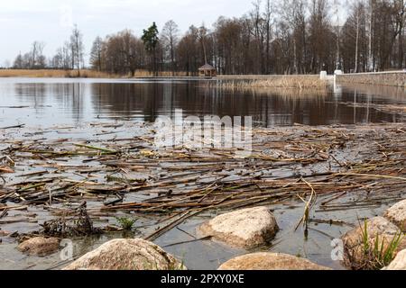 Blick auf die Natur mit einem See voller Äste und Steine Stockfoto