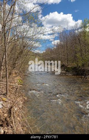 Ein Bergbach mit stürmischem Wasser fließt durch die Wälder im Reservat Stockfoto