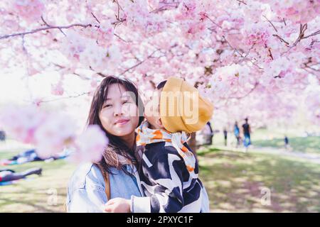 Ein Mond mit ihrem Kind, das in der Kirschblütensaison unter Sakurabäumen steht. Stockfoto