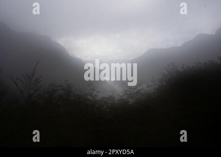 Eine malerische Landschaft des Neuseeland High Country und der Wildnis an einem nebligen Tag Stockfoto