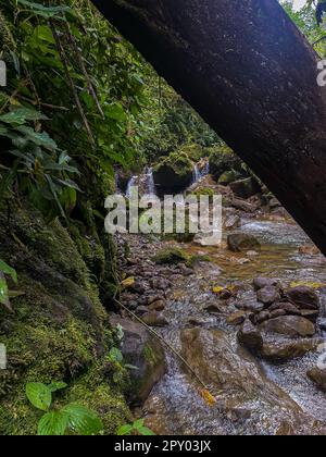 Wunderschöner Blick aus der Vogelperspektive auf den Costa Rica Wasserfall in Bajos de Toro, mit türkisfarbenem Wasser inmitten des Regenwaldes Stockfoto