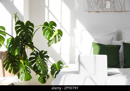 Helles Schlafzimmer mit Monstera-Zimmerpflanze und Bett Stockfotografie -  Alamy