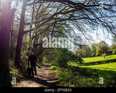 Mook-Molenhoek, Limburg, Niederlande. 30. April 2023. Man sieht einen Mann, der mit seinem Hund an einem sonnigen, warmen Tag spaziert. Nach niedrigen Temperaturen und ständigem Regen kam dieses Wochenende der Frühling und brachte Sonnenschein und milde Temperaturen in den Niederlanden. Man sah Leute, die das Wetter genossen, Fahrrad gefahren, Spazierwege gemacht oder Zeit mit ihren Familien verbracht haben. In den Niederlanden gibt es viele Wanderwege, die leicht mit öffentlichen Verkehrsmitteln erreichbar sind. (Kreditbild: © Ana Fernandez/SOPA Images via ZUMA Press Wire) NUR REDAKTIONELLE VERWENDUNG! Nicht für den kommerziellen GEBRAUCH! Stockfoto