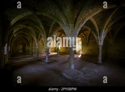Der Novice Common Room Under Battle Abbey, eine teilweise zerstörte Benediktinerkloster in Battle, East Sussex, England Stockfoto