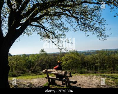 Mook-Molenhoek, Limburg, Niederlande. 30. April 2023. Man sieht einen Mann, der sich auf einer Bank neben einem großen Baum ruht. Nach niedrigen Temperaturen und ständigem Regen kam dieses Wochenende der Frühling und brachte Sonnenschein und milde Temperaturen in den Niederlanden. Man sah Leute, die das Wetter genossen, Fahrrad gefahren, Spazierwege gemacht oder Zeit mit ihren Familien verbracht haben. In den Niederlanden gibt es viele Wanderwege, die leicht mit öffentlichen Verkehrsmitteln erreichbar sind. (Kreditbild: © Ana Fernandez/SOPA Images via ZUMA Press Wire) NUR REDAKTIONELLE VERWENDUNG! Nicht für den kommerziellen GEBRAUCH! Stockfoto