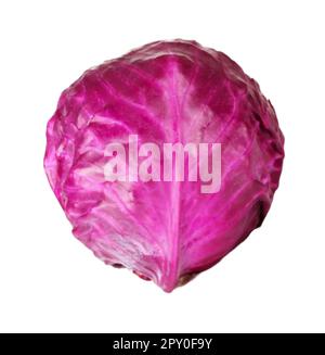 Rotkohl Stock Vektor
