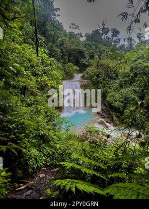 Wunderschöner Blick aus der Vogelperspektive auf den Costa Rica Wasserfall in Bajos de Toro, mit türkisfarbenem Wasser inmitten des Regenwaldes Stockfoto