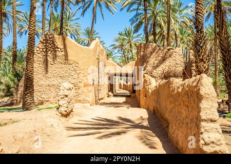 Al Ula zerstörte die Altstadt mit Palmen entlang der Straße, Saudi-Arabien Stockfoto