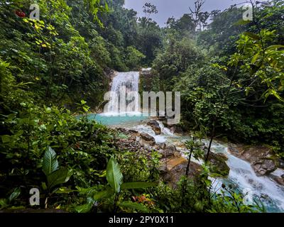 Wunderschöner Blick aus der Vogelperspektive auf den Costa Rica Wasserfall in Bajos de Toro, mit türkisfarbenem Wasser inmitten des Regenwaldes Stockfoto