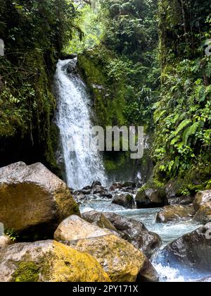 Wunderschöner Blick aus der Vogelperspektive auf den Costa Rica Wasserfall in Bajos de Toro, mit türkisfarbenem Wasser inmitten des Regenwaldes Stockfoto