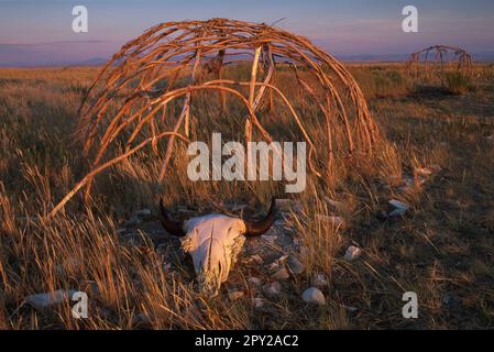 USA, Montana, Great Plain, Ulm Pishkun State Monument, Schwitzhütte mit Bisonschädel Stockfoto