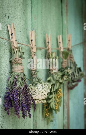 Schornsteine verschiedener, schöner, getrockneter Blumen hängen an einem Seil nahe einer alten Holzwand Stockfoto