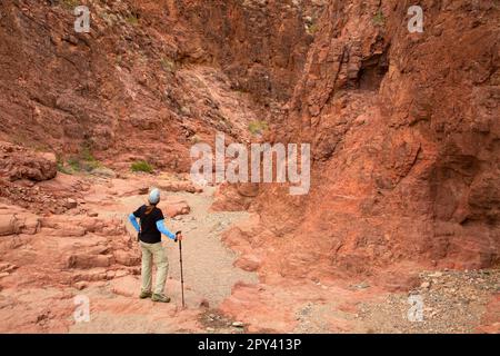 Crack Trail, Sara Park, Lake Havasu City, Arizona Stockfoto