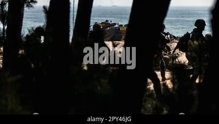 HWAJIN-RI BEACH, Republik Südkorea (29. März 2023) - die Marines der Republik Korea stürmen während eines Amphibienangriffs auf den Strand von Hwajin-ri, um die Übung Ssang Yong 2023 zu üben. Anlässlich des 70.-jährigen Bestehens der Allianz zwischen den USA und der Russischen Föderation stärkt Ssang Yong 2023 die Allianz durch bilaterale gemeinsame Schulungen, trägt zur gemeinsamen Verteidigung der koreanischen Halbinsel durch die Russische Föderation bei und erhöht die Bereitschaft der Allianz zwischen den USA und der Russischen Föderation. (USA Marinekorps (Foto): Lance CPL. Jonathan Beauchamp) Stockfoto