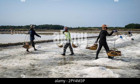 Ban Laem, Thailand. 25. April 2023. Die Salzarbeiter tragen nach der Ernte auf dem Salzfeld einen mit Salz gefüllten Rücksitz. Der Bezirk Ban Laem in der Provinz Petchaburi hat eine der größten Salzproduktionsindustrien Thailands, wo die Menschen noch immer hart arbeiten, da dort Landwirtschaft seit Jahrhunderten eine Lebensart ist, die Weisheit, Wissenstransfer aus Erfahrung, Beobachtung und Abhängigkeit von der Natur demonstriert. Kredit: SOPA Images Limited/Alamy Live News Stockfoto