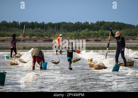 Ban Laem, Thailand. 25. April 2023. Ein Kind hilft seiner Familie, die Körbe während der Ernte mit Salz zu tragen. Der Bezirk Ban Laem in der Provinz Petchaburi hat eine der größten Salzproduktionsindustrien Thailands, wo die Menschen noch immer hart arbeiten, da dort Landwirtschaft seit Jahrhunderten eine Lebensart ist, die Weisheit, Wissenstransfer aus Erfahrung, Beobachtung und Abhängigkeit von der Natur demonstriert. (Kreditbild: © Nathalie Jamois/SOPA Images via ZUMA Press Wire) NUR REDAKTIONELLE VERWENDUNG! Nicht für den kommerziellen GEBRAUCH! Stockfoto