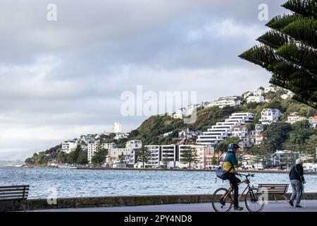 Wellington, Neuseeland - 20. April 2023: Fußgänger und Radfahrer auf ihrem Weg entlang der Oriental Parade in der Oriental Bay, Teil von Wellington's Grea Stockfoto