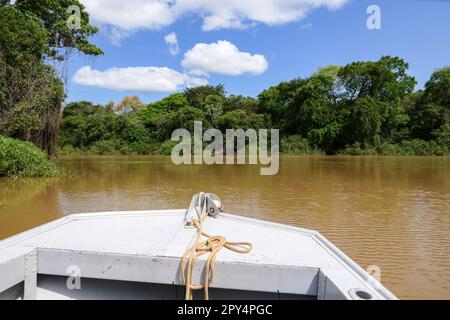 Blick auf einen typischen Pantanal Fluss von einem Boot an einem sonnigen Tag mit Reflexionen der Vegetation auf der Wasseroberfläche, Pantanal Feuchtgebiete, Mato Grosso, B. Stockfoto