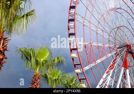 Wunderschönes großes Riesenrad und Palmen gegen den heftigen regnerischen Himmel im Freien Stockfoto