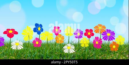 Bunte Blumen auf grünem Gras mit blauem Himmelshintergrund. Stockfoto