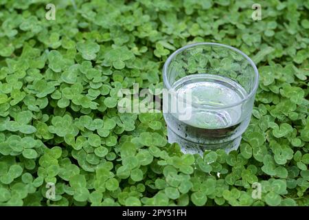 Glas Wasser in grünem Klee im Freien, Platz für Text Stockfoto