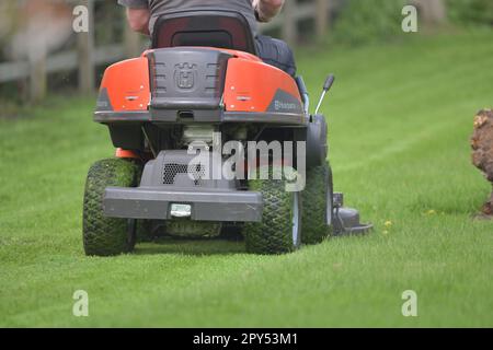 Ein Mann mäht einen Rasen auf einer Fahrt auf dem Mäher an einem Frühlingstag Stockfoto