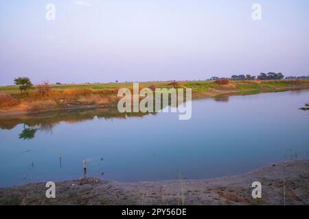 Arial View Kanal mit grünem Gras und Vegetation im Wasser nahe dem Padma Fluss in Bangladesch Stockfoto