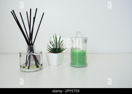 Räucherstäbchen in einem Glaskubikgefäß mit ätherischen Ölen. Inneneinrichtung. Weißer Hintergrund. Sansevier- oder Aloe-Pflanze in einem Topf. Speicherplatz kopieren. Wachskerze in einem stilvollen Glaskolben mit Deckel Stockfoto