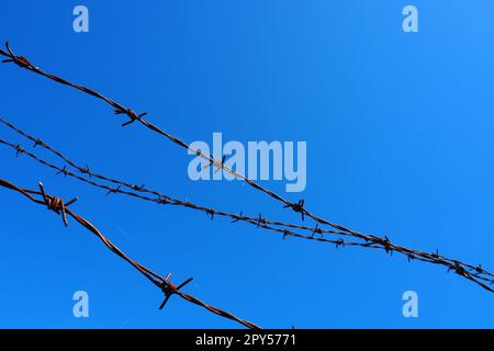 Stacheldraht, Draht, schmaler Streifen aus Metallband, mit scharfen Spitzen darauf, zur Herstellung von Barrieren. Rostiger Stacheldraht am blauen Himmel. Der Begriff Krieg, Beschränkungen der Rechte und Freiheiten. Stockfoto