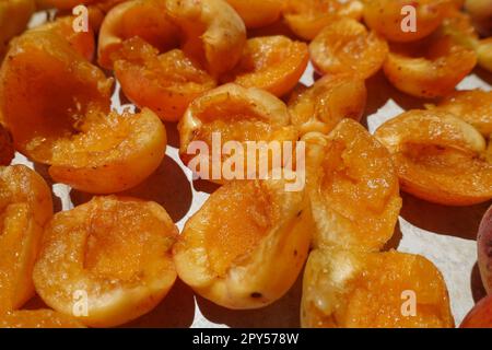 Hausgemachte Aprikosen trocknen, Obst trocknen im Sommer, Obst trocknen in der Sonne Stockfoto