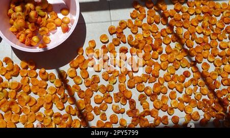 Hausgemachte Aprikosen trocknen, Obst trocknen im Sommer, Obst trocknen in der Sonne Stockfoto