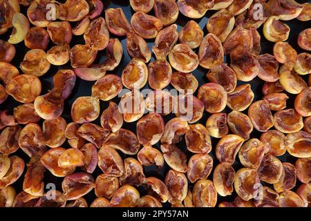 Hausgemachte Aprikosen trocknen, Obst trocknen im Sommer, Obst trocknen in der Sonne Stockfoto