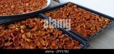 Hausgemachte Aprikosen trocknen, Obst trocknen im Sommer, Obst trocknen in der Sonne Stockfoto
