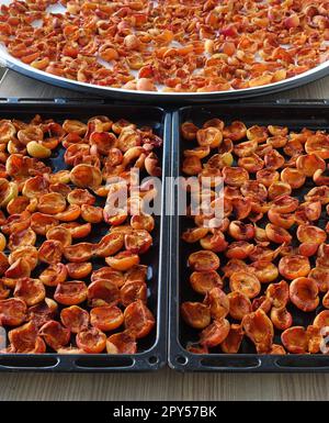 Hausgemachte Aprikosen trocknen, Obst trocknen im Sommer, Obst trocknen in der Sonne Stockfoto