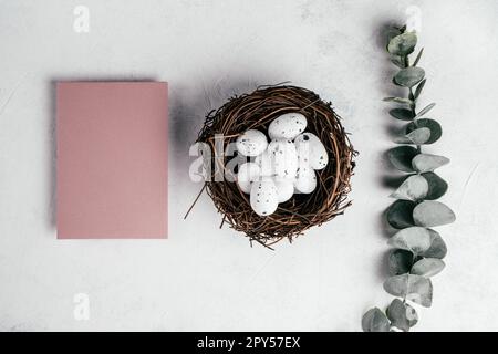 Osterzusammensetzung einer rosafarbenen leeren Postkarte auf weißem Hintergrund und Wachteleier im Nest in der Nähe des Eukalyptuszweigs Stockfoto