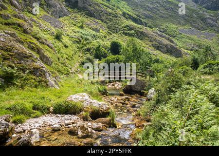 Holzbrücke in Picos de Europa, Asturien, Spanien Stockfoto