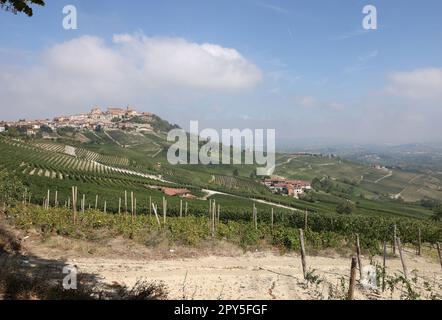 Langhe Vineyards in der Nähe von La Morra, Piedmont, Italien Stockfoto