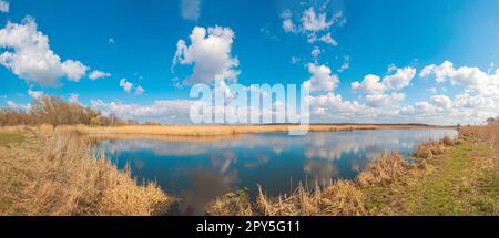 Gelbes Strauchholz und Schilf in der Nähe des blauen Wassers des Sees unter dem blauen Himmel mit Wolken, der Fluss Guiva in Andrushivka, Ukraine Stockfoto