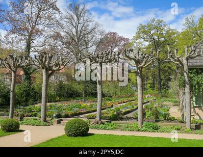 Garten der Liebermann-Villa, am Großen Wannsee, Wannsee, Steglitz-Zehlendorf, Berlin, Deutschland *** Lokale Bildunterschrift *** , Berlin, Deutschland Stockfoto