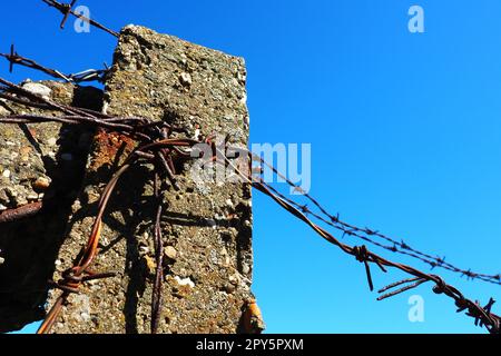 Stacheldraht, Doppeldraht, Metallband mit scharfen Spitzen für Barrieren. Rostiger Stacheldraht am blauen Himmel. Der Begriff Krieg, die Einschränkung von Rechten und Freiheiten. Betonpfeiler. Stockfoto