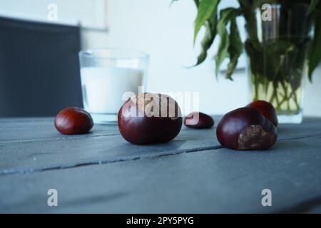 Pflanzen und Blumen der Jerusalem-Artischocke in einer Vase. Kastanienfrüchte auf dem Tisch. Tisch und Stühle auf dem Balkon oder der Terrasse. Saisonende im Hotel. Der Tisch ist silberfarben gestrichen. Stockfoto