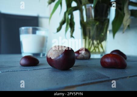 Pflanzen und Blumen der Jerusalem-Artischocke in einer Vase. Kastanienfrüchte auf dem Tisch. Tisch und Stühle auf dem Balkon oder der Terrasse. Saisonende im Hotel. Der Tisch ist silberfarben gestrichen. Stockfoto