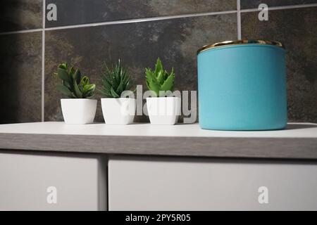 Dekorelemente im Badezimmer. Ein blaues Glas mit Sahne oder Öl, grüne künstliche Pflanzen in kleinen weißen Töpfen stehen auf einem Regal des Schranks. Schwarze Wandfliesen. Bad und WC-Innenausstattung Stockfoto