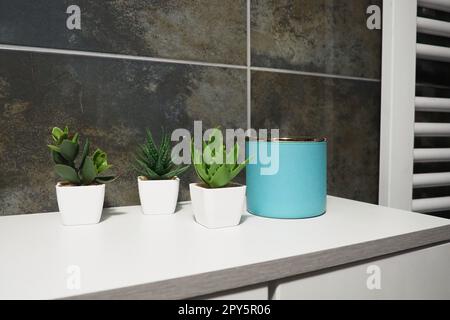 Dekorelemente im Badezimmer. Ein blaues Glas mit cremefarbenen und grünen Pflanzen in kleinen weißen Töpfen steht auf einem Regal des Schranks. Schwarze Wandfliesen. Bad und WC-Innenausstattung. Heizkörper an der Wand. Stockfoto