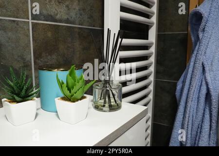 Dekorelemente im Badezimmer. Ein blaues Glas mit cremefarbenen und grünen Pflanzen in kleinen weißen Töpfen steht auf einem Regal im Schrank. Schwarze Wandfliesen. Badezimmereinrichtung. Kühlerwand. Das Hemd ist aufgehängt. Aroma-Sticks. Stockfoto