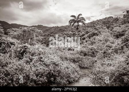 Tropische Naturinsel Ilha Grande Praia de Palmas Strand Brasilien. Stockfoto